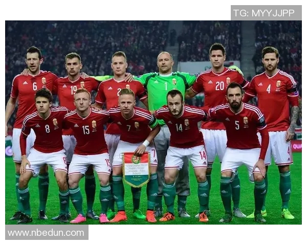 全球足球明星国籍分布分析哪个国家球员最多